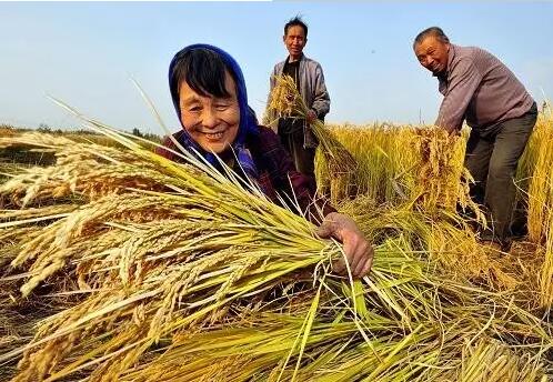 重磅！繼包產到戶之后，我國農村又一次迎來重大改革